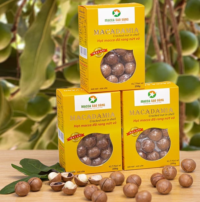 Macca Sao Vàng – Your Trusted Source for Macadamia Nuts