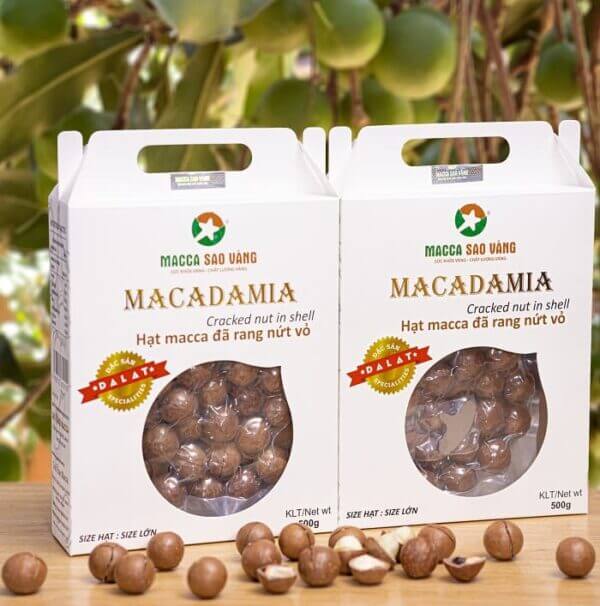 MACCA NỨT VỎ HỘP TRẮNG 500GR - MANG THƯƠNG HIỆU VIỆT