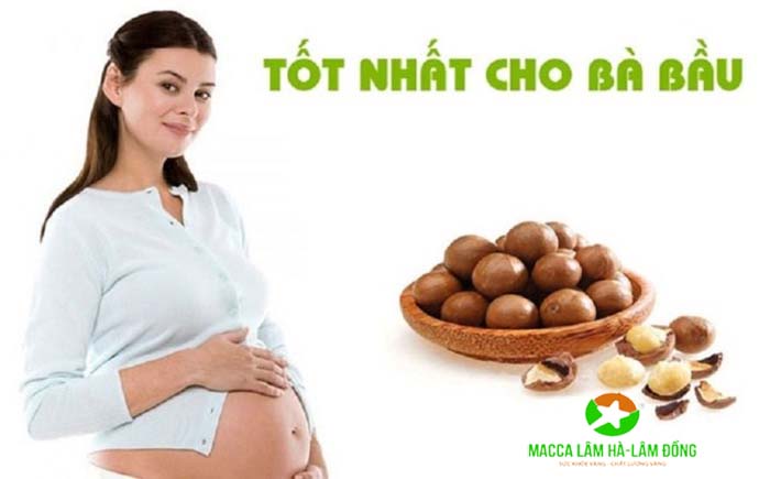Phụ nữ mang thai nên sử dụng macadamia thường xuyên để bảo vệ sức khỏe