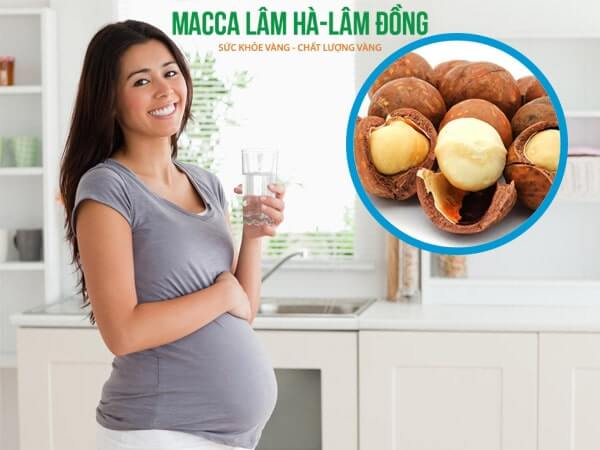 Hạt macca được nhiều chuyên gia dinh dưỡng đánh giá là rất tốt cho mẹ bầu và thai nhi