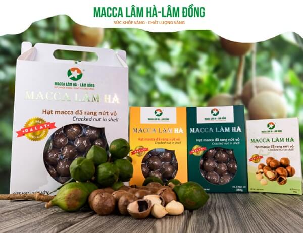 Macca Lâm Hà – Lâm Đồng ngọt bùi, thơm ngon, giàu dinh dưỡng