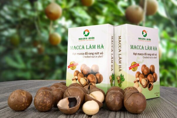 Macca Lâm Hà – sản phẩm Việt mang hương vị đặc trưng