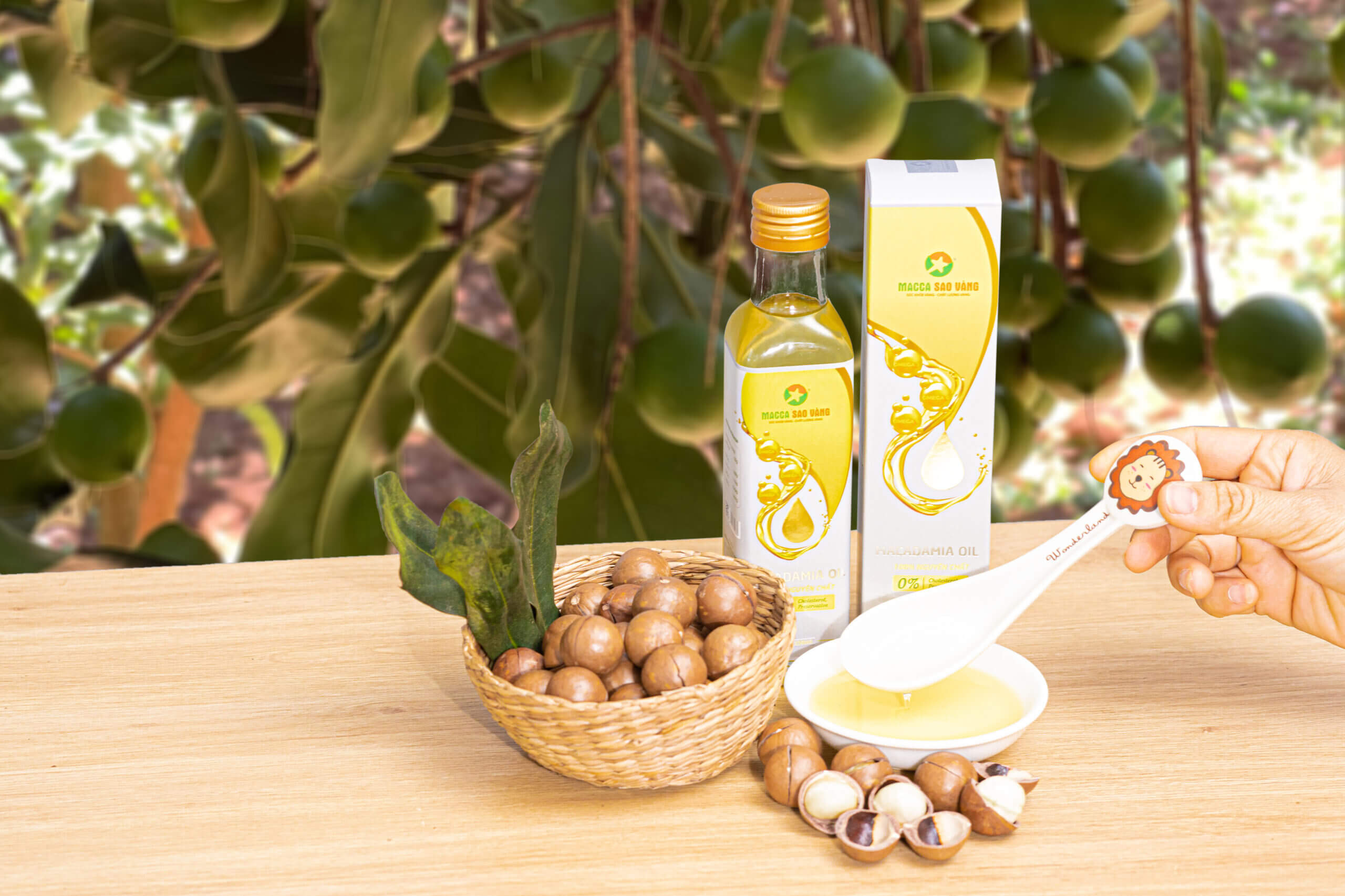 What is macadamia nut oil?