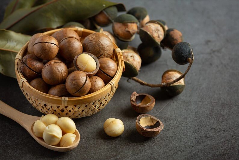 Why should you choose whole-shell macadamia nuts?