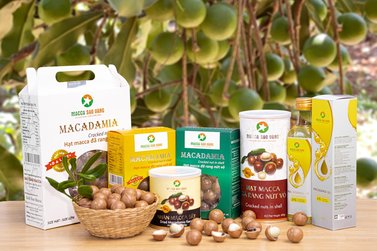 Macca Sao Vang - The reputable export macadamia company