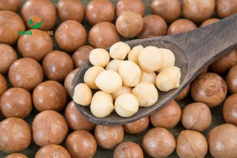 Hình 1. Cách chọn hạt mắc ca già và non