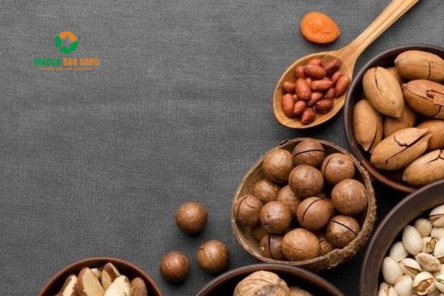 Hình 3. Các yếu tố dinh dưỡng mà mắc ca mang lại