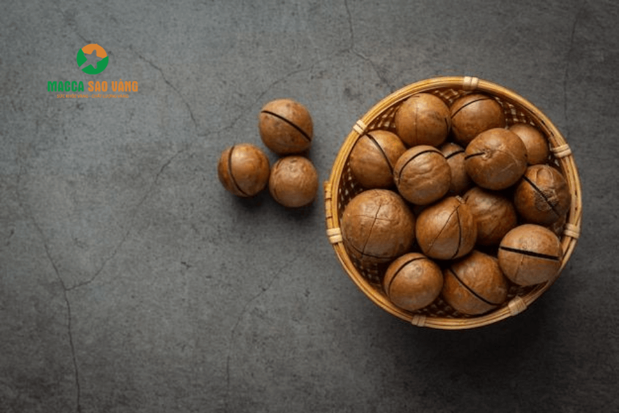 Hình 3. Chất lượng của hạt mắc ca đạt chuẩn