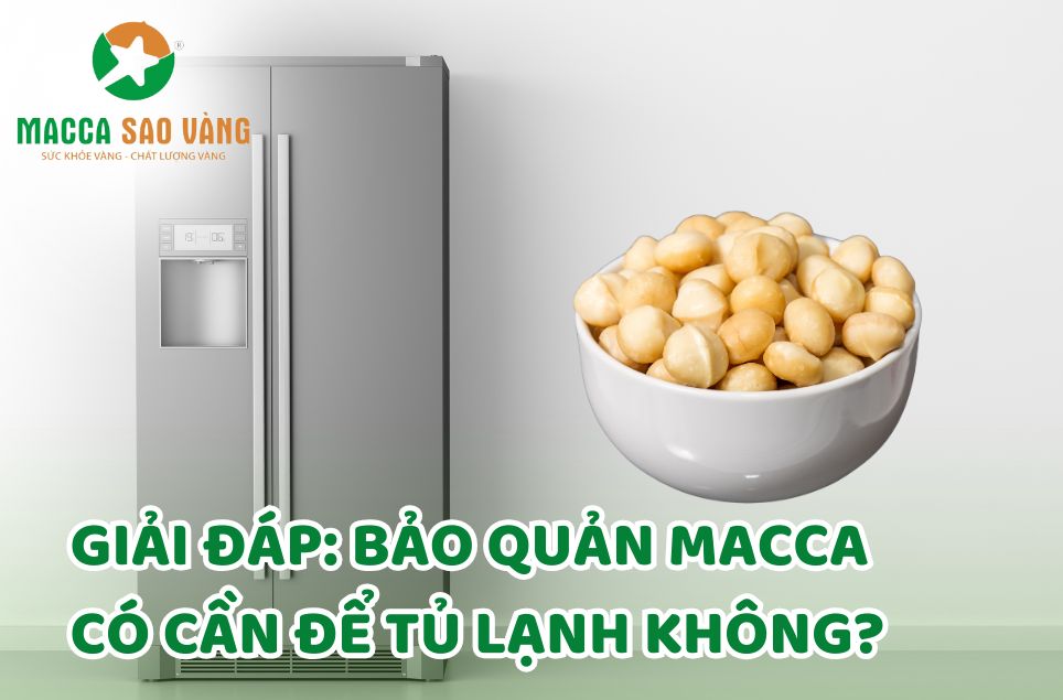 Giải đáp: Bảo quản macca có cần để tủ lạnh không?