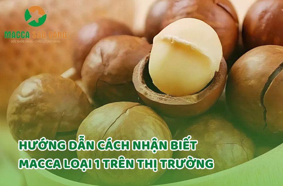 Hướng dẫn cách nhận biết macca loại 1 trên thị trường