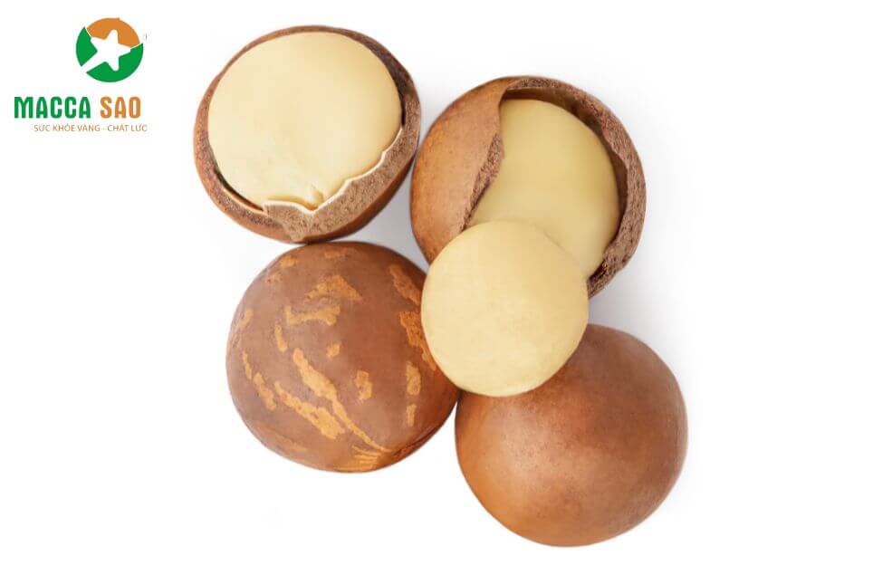 Kích thước hạt đồng đều, vỏ mỏng