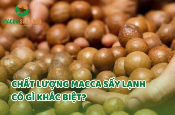 Chất lượng hạt macca sấy lạnh có gì khác biệt?